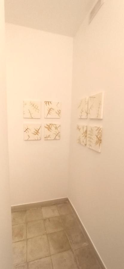 Casa nella pietra viva Appartamento Bari Esterno foto